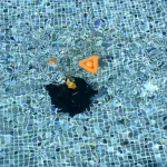 Robot limpiafondos a batería Cyclone 100 ESPA LEADER para piscinas de 20 m2 - Imagen 2